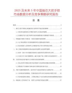 2025及未來5年中國(guó)插芯大把手鎖市場(chǎng)數(shù)據(jù)分析及競(jìng)爭(zhēng)策略研究報(bào)告
