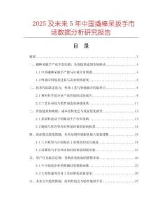 2025及未來5年中國撬棒呆扳手市場數(shù)據(jù)分析研究報告