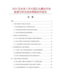 2025及未來5年中國打頭螺絲市場數(shù)據(jù)分析及競爭策略研究報告