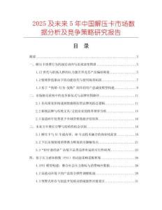 2025及未來5年中國解壓卡市場數(shù)據(jù)分析及競爭策略研究報告