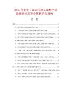 2025及未來5年中國單頭電極市場數(shù)據(jù)分析及競爭策略研究報告