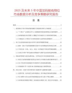 2025及未來5年中國加碼射線物位市場數(shù)據(jù)分析及競爭策略研究報告