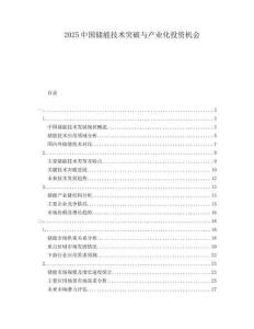 2025中國(guó)儲(chǔ)能技術(shù)突破與產(chǎn)業(yè)化投資機(jī)會(huì)