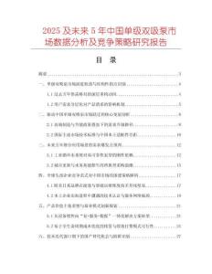 2025及未來5年中國單級雙吸泵市場數(shù)據(jù)分析及競爭策略研究報(bào)告