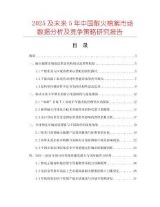 2025及未來5年中國耐火棉絮市場數據分析及競爭策略研究報告