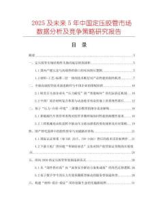 2025及未來5年中國定壓膠管市場數(shù)據(jù)分析及競爭策略研究報告