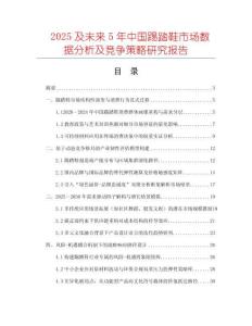 2025及未來5年中國踢踏鞋市場(chǎng)數(shù)據(jù)分析及競(jìng)爭(zhēng)策略研究報(bào)告