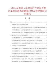 2025及未來(lái)5年中國(guó)合并式電子管功率放大器市場(chǎng)數(shù)據(jù)分析及競(jìng)爭(zhēng)策略研究報(bào)告