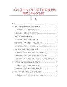 2025及未來5年中國工裝長褲市場數據分析研究報告