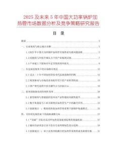 2025及未來5年中國大功率鍋爐加熱管市場數據分析及競爭策略研究報告