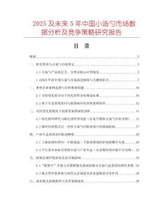 2025及未來5年中國小湯勺市場數據分析及競爭策略研究報告