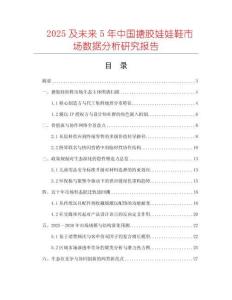 2025及未來(lái)5年中國(guó)搪膠娃娃鞋市場(chǎng)數(shù)據(jù)分析研究報(bào)告