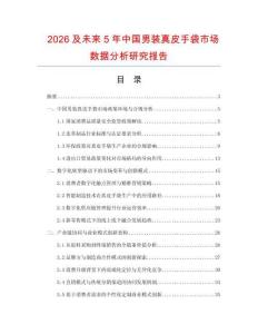 2026及未來5年中國男裝真皮手袋市場數據分析研究報告