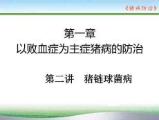 豬病防治：豬鏈球菌病PPT教學課件