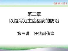 豬病防治：豬副傷寒PPT教學課件