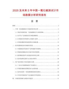 2025及未來(lái)5年中國(guó)一氧化碳測(cè)試計(jì)市場(chǎng)數(shù)據(jù)分析研究報(bào)告