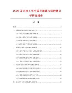 2025及未來(lái)5年中國(guó)半圓鎬市場(chǎng)數(shù)據(jù)分析研究報(bào)告