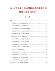 2026及未來5年中國散打成型拳套市場(chǎng)數(shù)據(jù)分析研究報(bào)告