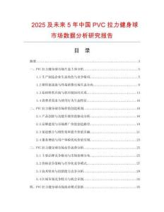 2025及未來5年中國PVC拉力健身球市場數據分析研究報告