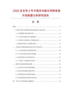 2025及未來5年中國多功能車用椅背袋市場數(shù)據(jù)分析研究報告