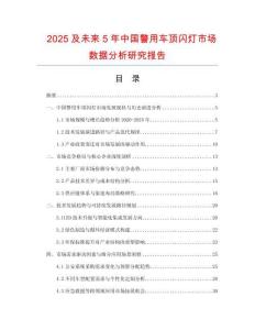 2025及未來(lái)5年中國(guó)警用車(chē)頂閃燈市場(chǎng)數(shù)據(jù)分析研究報(bào)告