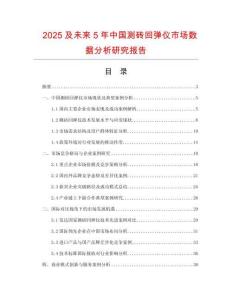 2025及未來5年中國測磚回彈儀市場數(shù)據(jù)分析研究報告