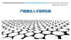 產(chǎn)教融合人才培養(yǎng)機制