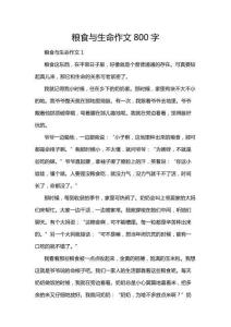 糧食與生命作文800字