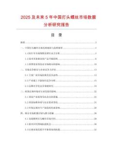 2025及未來5年中國打頭螺絲市場數(shù)據(jù)分析研究報告
