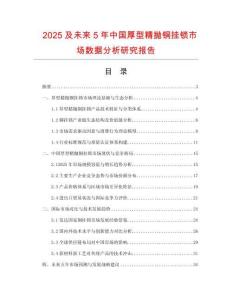 2025及未來(lái)5年中國(guó)厚型精拋銅掛鎖市場(chǎng)數(shù)據(jù)分析研究報(bào)告