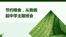 節(jié)約糧食，從我做起中學(xué)主題班會