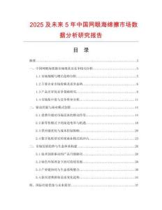 2025及未來5年中國(guó)網(wǎng)眼海綿擦市場(chǎng)數(shù)據(jù)分析研究報(bào)告
