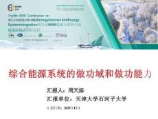 2025年綜合能源系統(tǒng)的做功域和做功能力報告-石河子大學（周天爍）