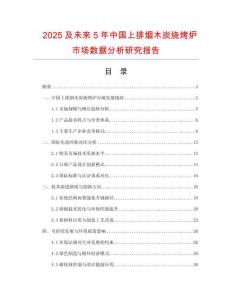 2025及未來5年中國上排煙木炭燒烤爐市場數據分析研究報告