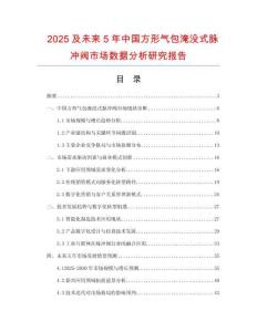 2025及未來5年中國方形氣包淹沒式脈沖閥市場數(shù)據(jù)分析研究報告