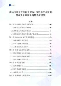 高科技長號改良行業(yè)2026-2030年產(chǎn)業(yè)發(fā)展現(xiàn)狀及未來發(fā)展趨勢分析研究