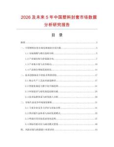 2026及未來5年中國塑料封套市場數(shù)據(jù)分析研究報告