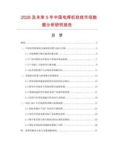 2026及未來5年中國電焊機(jī)軟線市場數(shù)據(jù)分析研究報告