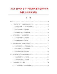 2025及未來5年中國高纖維吊裝帶市場數據分析研究報告