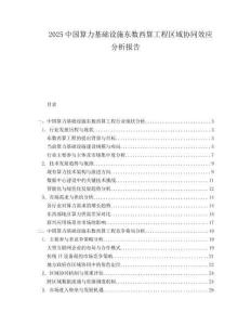 2025中國算力基礎(chǔ)設(shè)施東數(shù)西算工程區(qū)域協(xié)同效應(yīng)分析報告