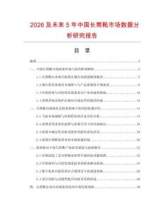 2026及未來5年中國長筒靴市場數據分析研究報告