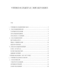 中國鋁板企業(yè)文化建設(shè)與員工凝聚力提升實踐報告