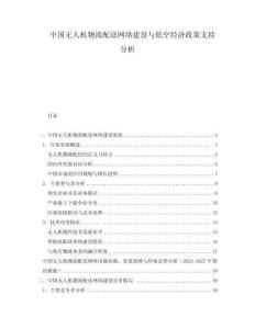 中國無人機(jī)物流配送網(wǎng)絡(luò)建設(shè)與低空經(jīng)濟(jì)政策支持分析