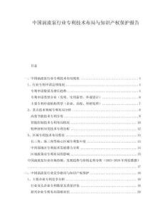 中國渦流泵行業(yè)專利技術(shù)布局與知識產(chǎn)權(quán)保護(hù)報(bào)告