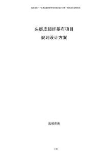 頭層皮超纖基布項(xiàng)目規(guī)劃設(shè)計(jì)方案