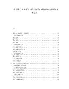 中國電子商務(wù)平臺運營模式與市場競爭態(tài)勢規(guī)劃分析文檔