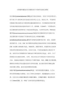 小細胞外囊泡在結直腸癌診療中的研究進展完整版