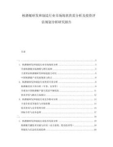 核潛艇研發和制造行業市場現狀供需分析及投資評估規劃分析研究報告