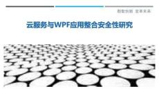 云服務(wù)與WPF應(yīng)用整合安全性研究