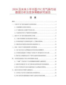 2026及未來5年中國PVC充氣袋市場數(shù)據(jù)分析及競爭策略研究報告
